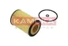 Фото Фільтр масляний VW Passat/Caddy/T5 1.6/2.0TDI 14 KAMOKA (F117601) зображення 1