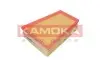 Фото Фільтр повітряний Renault Laguna 2.0 dCi 05-/Megane 1.5-2.0 i/dCi/Scenic 1.5-2.0 i/dCi 03 KAMOKA (F204101) зображення 1