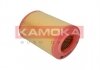Фільтр повітряний - KAMOKA F213901 (55183562)