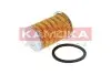 Фото Фільтр паливний Ford Focus/Mondeo 1.8TDCI 04-15 KAMOKA (F307201) зображення 1