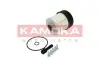 Фото Фільтр паливний Renault Kangoo/Dokker/Duster/Logan 1.5dci 10 KAMOKA (F320701) зображення 2