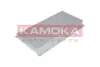 Фото Фільтр салону Ford Focus/Connect 1.8DI/TDCi 02 KAMOKA (F400801) зображення 1