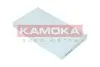 Фото Фільтр салону Nissan Juke 1.6 16V/Leaf 10 KAMOKA (F418801) зображення 1