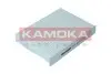 Фото Фильтр воздуха салона KAMOKA (F419201) изображение 1