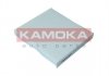 Фильтр салона KAMOKA F420301 (фото 1)