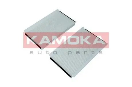 Фільтр салону BMW 5 (E60/E61)/6 (E63/E64) 2.0-5.0 01-10 (к-кт 2шт.) KAMOKA F420901 Купити в Україні
