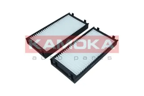 Фільтр салону BMW X5 (E70/F15)/X6 (E71/E72) 2.0-4.8 07- (к-кт 2шт) KAMOKA F421101 Купити в Україні