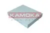 Фото Фільтр салону Ford Kuga/Focus IV 1.0 EcoBoost 18 KAMOKA (F423601) зображення 2