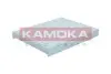 Фото Фільтр салону Hyundai Santa Fe 2.0-2.2CRDI/2.4 09-12 KAMOKA (F427001) зображення 2