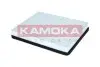 Фото Автозапчасть KAMOKA (F427601) изображение 3