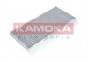 Фильтр воздуха салона - KAMOKA F506801 (1698300218)