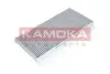 Фото Фільтр салону MB A-class (W169)/B-class (W245) (вугільний) KAMOKA (F506801) зображення 1