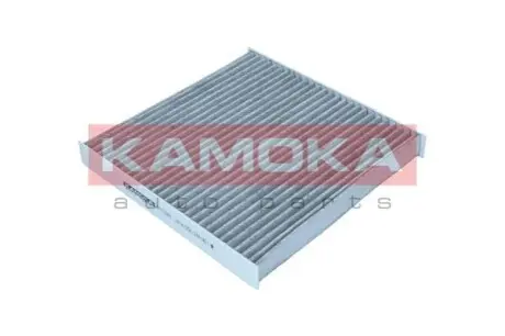 Фільтр повітря салону Z WKLADEM WEGLOWYM KAMOKA F513301