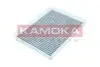 Фільтр салону Hyundai i30/Kia Ceed 07-12 KAMOKA (F517401) зображення 1
