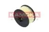 Паливний фільтр KAMOKA (F702101) зображення 1