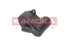 KAMOKA (JBM003) зображення 4