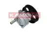 Фото Помпа гiдропiдсилювача DACIA LOGAN 04-/SANDERO 08-/RENAULT CLIO II 98-/MEGANE 96 KAMOKA (PP078) зображення 3