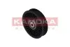 Фото Ролик направляючий (PLAST KAMOKA (R0030) зображення 1