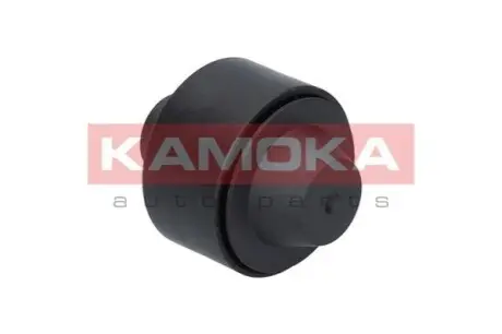 Ролик генератора Peugeot Partner 1.6HDI 06- (паразитний) (51x26x10) KAMOKA R0057 Купити в Україні