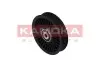 Фото Ролик направляючий (PLAST KAMOKA (R0091) изображение 3