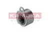Фото Ролик ГРМ Renault Trafic 1.9dCi (натяжний) KAMOKA (R0154) зображення 1