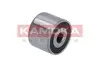Фото Ролик генератора Citroen Berlingo/Jumpy/Fiat Scudo/Peugeot Partner 1.9D 98- (паразитний) KAMOKA (R0276) зображення 4
