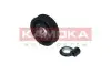 Ролик ременя приводного KAMOKA (R0424) зображення 1