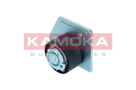 Ролик ГРМ Renault Megane/Scenic 1.9D 08- (натяжний) (67х30.5) KAMOKA R0503 Купити в Україні