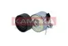 Фото Натяжник ременя генератора Fiat Scudo 1.6 HDI 07 KAMOKA (R0596) зображення 1