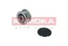 Фото Шків генератора Citroen Berlingo/Jumpy/Jumper/Nemo 1.4/1.6/2.0/2.2HDi KAMOKA (RC030) зображення 1