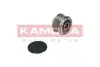 Фото Шків генератора Renault Kangoo 1.9dCi KAMOKA (RC050) зображення 3
