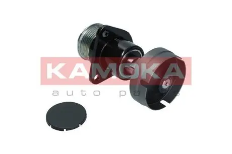 Шків генератора Ford Connect KAMOKA RC093 Купити в Україні