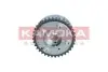 Фото Шестерня розподільного валу VW Golf V/VI/Passat B6/B7/Touran 1.4TSI/1.6TSI 05 KAMOKA (RV002) зображення 5
