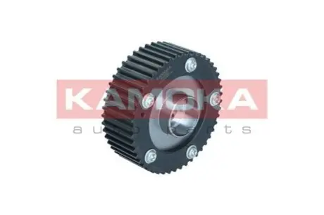 Шестерня розподiльчого валу AUDI A3 12-/SEAT ALHAMBRA 10-/SKODA FABIA 14-/VW GOLF 11-17 KAMOKA RV007 Купити в Україні