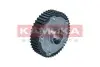 Фото Шестерня распределительного вала ALFA ROMEO MITO 08-/FIAT 500 07-/DOBLO 00-/FIORINO 07- KAMOKA (RV011) изображение 3