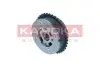 Фото Шестерня распределительного вала BMW 1(F20) 11-19/2(F22) 12-/5(F10) 09-16/X1 09-15 KAMOKA (RV017) изображение 4