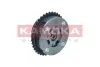 Шестерня розподільчого валу KAMOKA (RV019) зображення 1