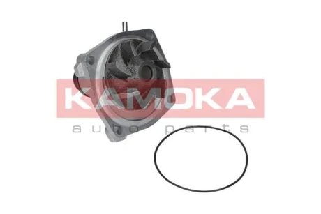 Помпа води KAMOKA T0006
