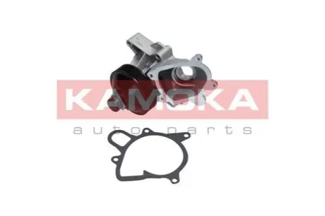 Помпа води KAMOKA T0064 Купить в Украине