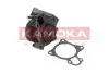 Фото Помпа води Citroen Jumper/Peugeot Boxer 3.0HDi/Fiat Ducato 2.3D/3.0D/Iveco 06- (R/B) (7 лоп) (6 кан) KAMOKA (T0097) зображення 1