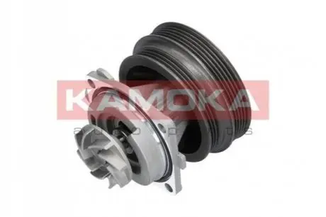 Помпа води KAMOKA T0112 Купить в Украине
