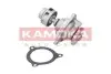Помпа води Ford Fiesta V/Fusion 1.3 01-08 (R/B) (6 лоп.) KAMOKA (T0135) зображення 1