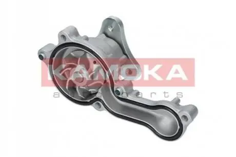 Помпа води KAMOKA T0150 Купить в Украине