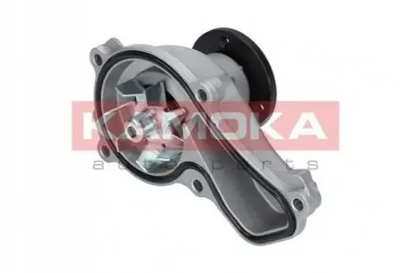 Помпа води KAMOKA T0151 Купити в Україні
