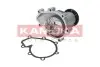 Фото Помпа води KAMOKA (T0181) изображение 1