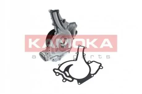 Автозапчасть KAMOKA T0195