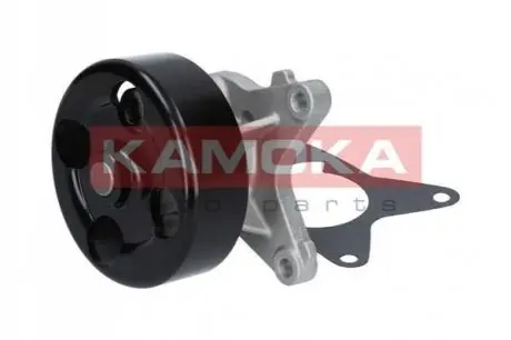 Помпа води Renault Laguna III/Megane III/Scenic III/Nissan X-Trail/Qashqai 2.0 16V 07 KAMOKA T0223 Купити в Україні
