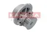 Фото Помпа води Opel Astra G/Combo/Corsa C/Vectra B/C/Zafira A/B 1.4 16V/1.6 16V 98 KAMOKA (T0231) зображення 1