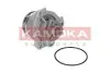 Фото Помпа води Opel Astra G/Vectra B/C/Zafira A/Omega B 2.0DI/DTI/2.2DTI 96-06 KAMOKA (T0234) зображення 1