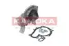 Фото Помпа води Renault Kangoo/Megane/Clio 1.4/1.4i/1.4e 96- (B/B) (8 лоп) KAMOKA (T0243) зображення 1